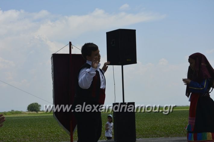 alexandriamou.gr_trikala28.5.2018215